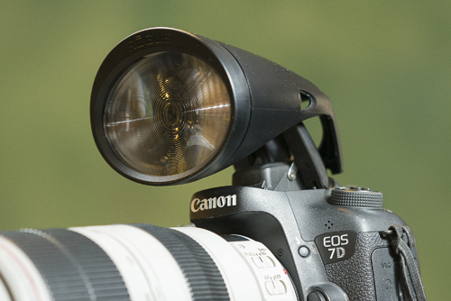 Rogue Safari Flash Extender