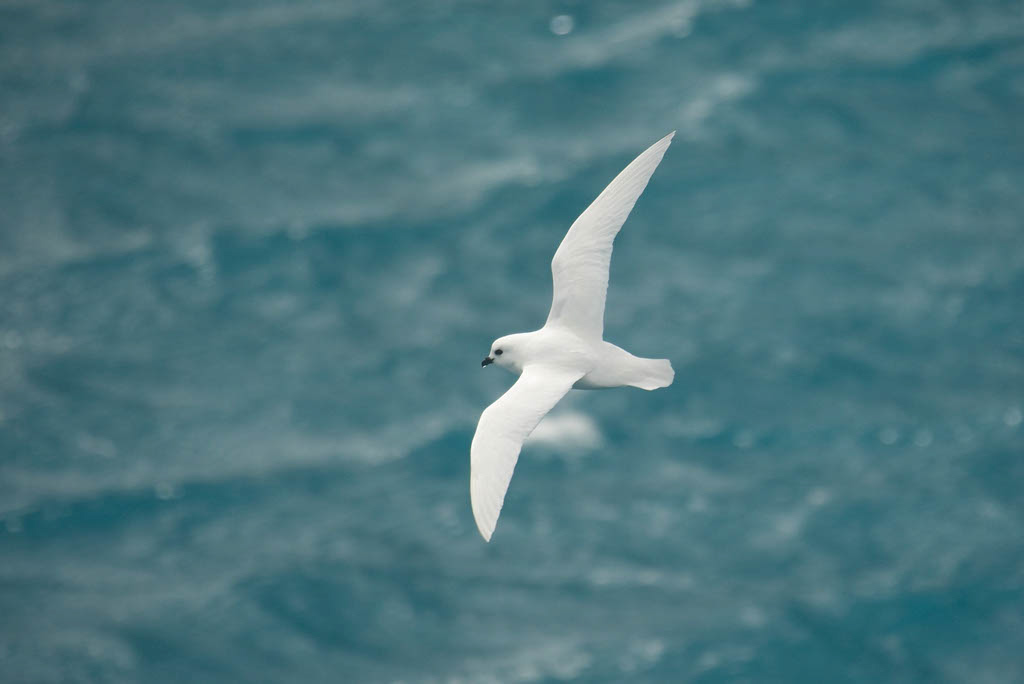 Copy%20of%20A%20MARY3691