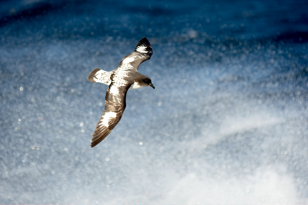 Copy%20of%20A%20MARY5967