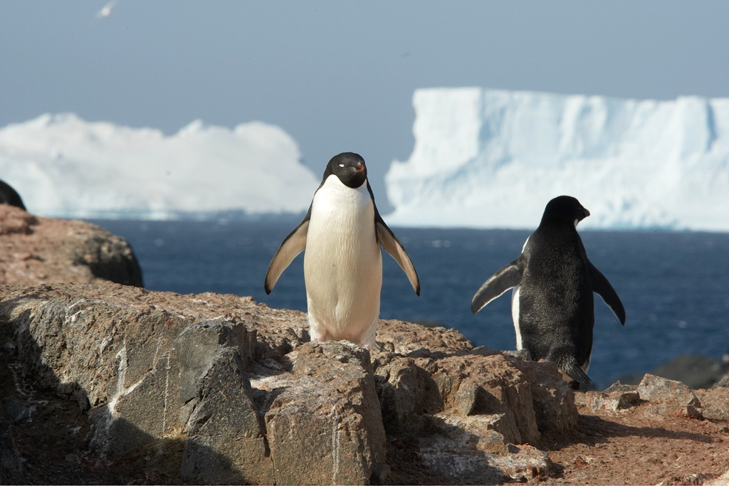 Copy%20of%20AA%20MAM18253