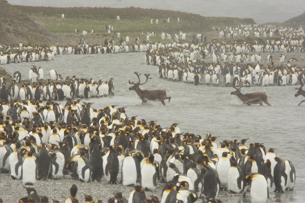 Copy%20of%20AA%20MARY0143