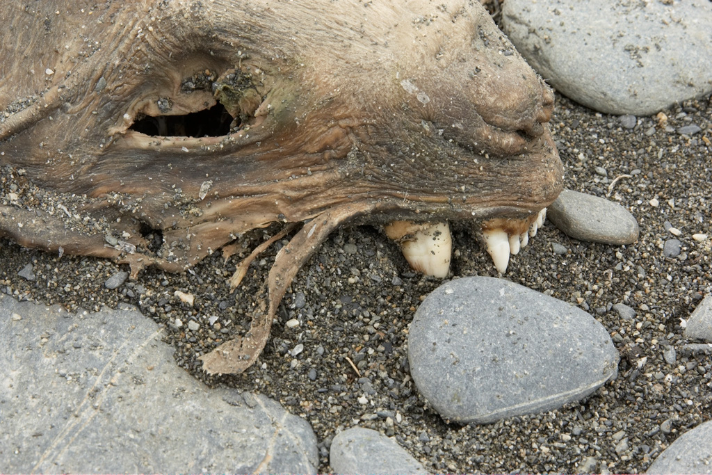 Copy%20of%20AA%20MARY1178