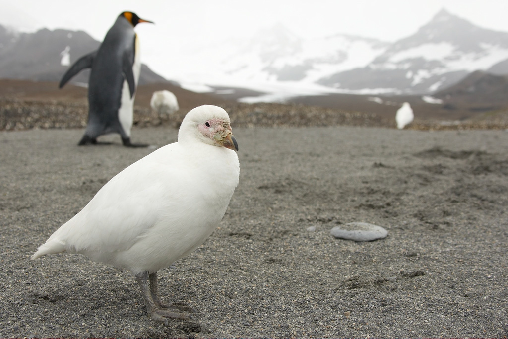 Copy%20of%20AABC%20MARY0971