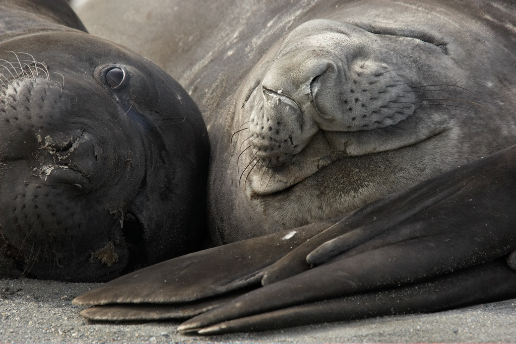 Copy%20of%20MARY0984