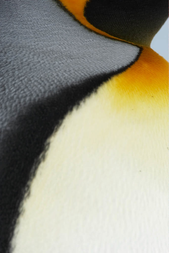 Copy%20of%20MARY1848