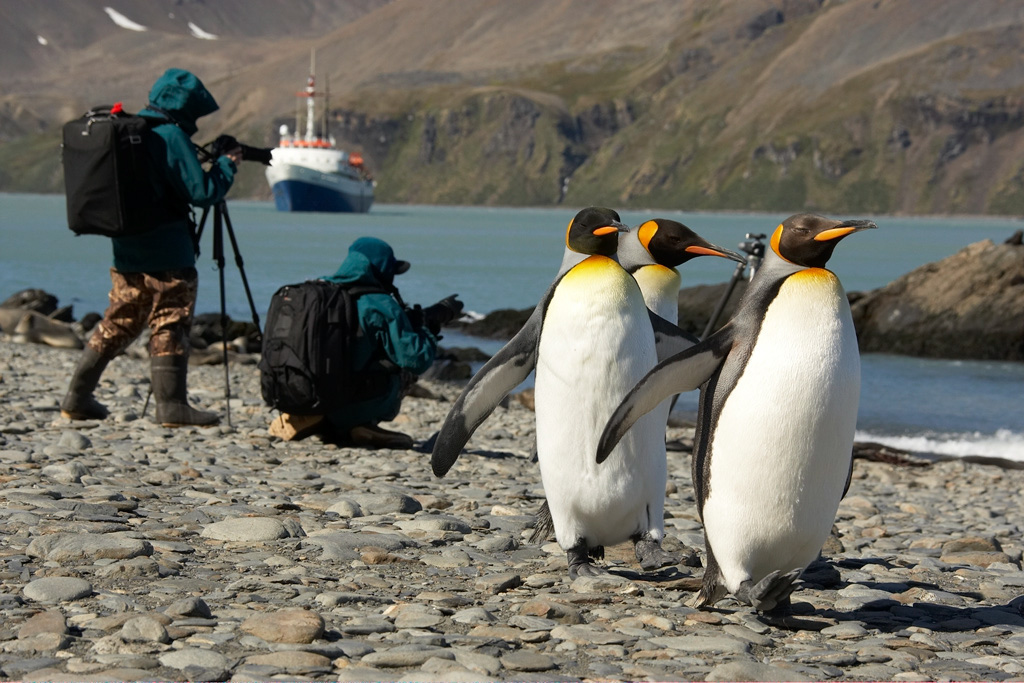 j%20n%20j%20MARY9754