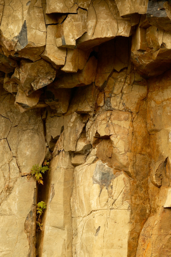 Basalt%20Columns%20RAW%203270